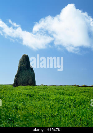 By tradition, the Blind Fiddler prehistoric monolith, West Penwith, Cornwall, is a musician turned to stone for playing on the Sabbath. Stock Photo