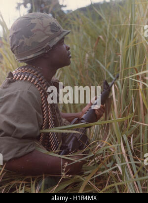 A soldier from the 4th Infantry Division keeps watch from the cover of tall elephant grass during a search and clear operation in the mountains south of Fire Support Base Action. Stock Photo