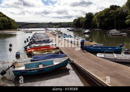 The village of Stoke Gabriel is in one of the most unspoilt parts of South Devon. It is situated on the banks of a small creek w Stock Photo