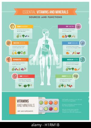 Nutrition, vitamins and health infographics: human body, organs, vitamins benefits and food sources infographic Stock Vector