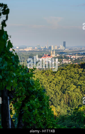 Klosterneuburg: view from vineyards vineyard in Kritzendorf to Klosterneuburg Monastery and Vienna Donaucity, Danube Tower, DC T Stock Photo