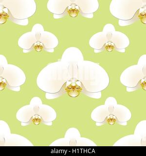 White orchid flowers on a background of pistachio-colored seamless pattern Stock Vector