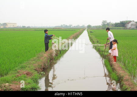 Nam Dinh, Vietnam - March 28, 2010: Children are playing in the paddy field in the countryside of the North of Vietnam Stock Photo