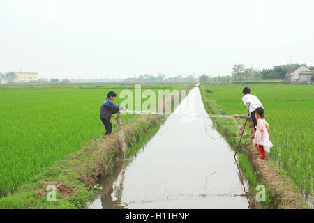 Nam Dinh, Vietnam - March 28, 2010: Children are playing in the paddy field in the countryside of the North of Vietnam Stock Photo