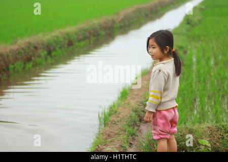 Nam Dinh, Vietnam - March 28, 2010: A little girl is in the paddy field in the countryside of the North of Vietnam Stock Photo