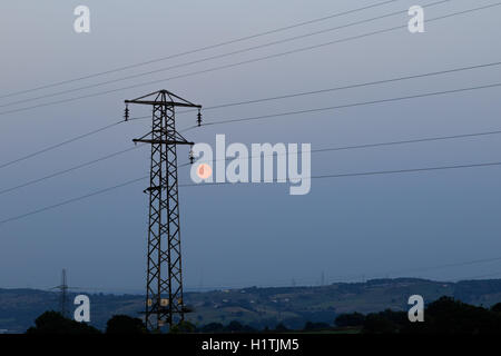 in Yorkshire UK Stock Photo