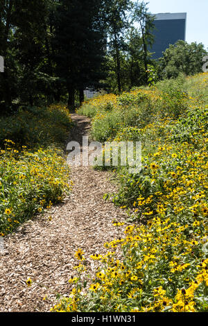 Woodchip Path in Central Park, NYC Stock Photo