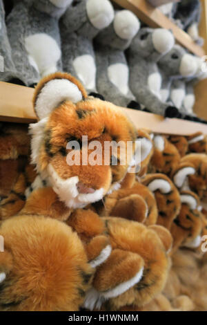 Gift Shop stuffies at The Bronx Zoo, Wildlife Conservation Society, Bronx Park, Bronx, NYC Stock Photo