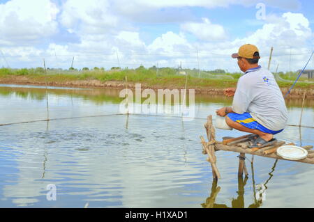 Bac Lieu, Vietnam - November 22, 2012: A farmer is feeding fish in his small own pond in the mekong delta of Vietnam Stock Photo