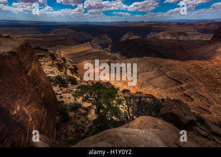 Muley Point Overlook near Mexican Hat Utah United States Stock Photo