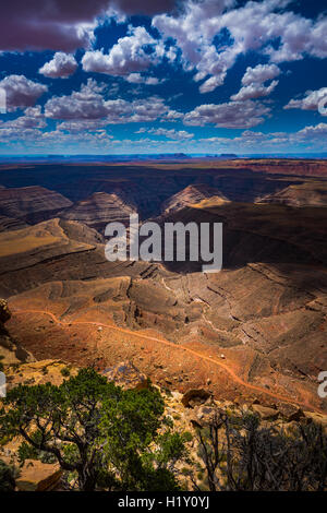 Muley Point Overlook near Mexican Hat Utah United States Stock Photo