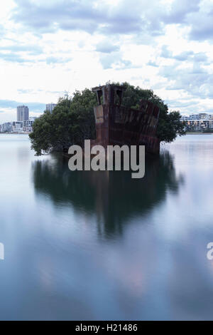 SS Ayrfield (launched as SS Corrimal) One of several wrecks still located in Homebush Bay Sydney New South Wales Australia Stock Photo