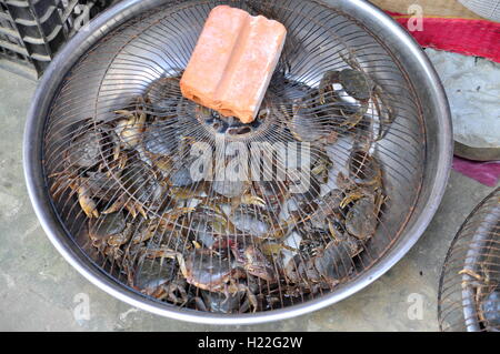 Thanh Hoa, Vietnam - October 24, 2015: Small river crabs are for sale in a local market Stock Photo