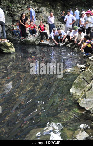 Thanh Hoa, Vietnam - October 24, 2015: People are wishing good luck from the Vietnamese God fish in the God stream of Cam Luong Stock Photo