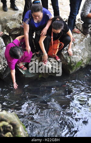 Thanh Hoa, Vietnam - October 24, 2015: People are wishing good luck from the Vietnamese God fish in the God stream of Cam Luong Stock Photo