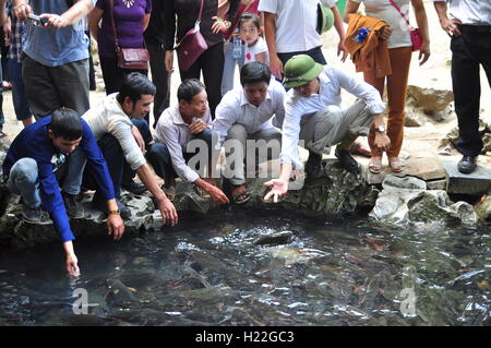 Thanh Hoa, Vietnam - October 24, 2015: People are wishing good luck from the Vietnamese God fish in the God stream of Cam Luong Stock Photo