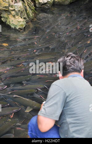 Thanh Hoa, Vietnam - October 24, 2015: People are wishing good luck from the Vietnamese God fish in the God stream of Cam Luong Stock Photo