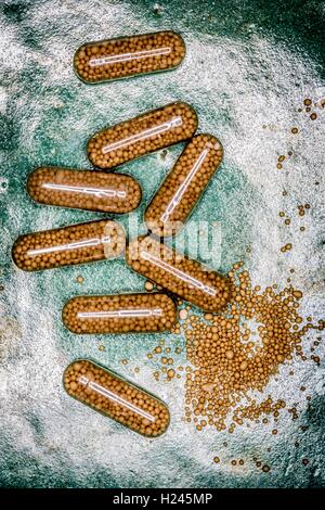 Brewer's yeast capsules. Stock Photo