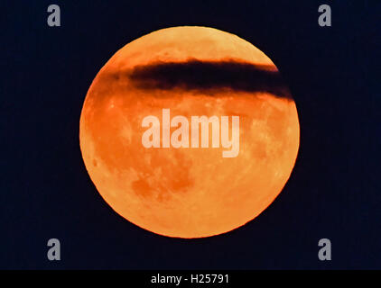 Treplin, Germany. 16th Sep, 2016. A reddish gleaming full moon shines in the evening sky behind a radio tower near Treplin, Germany, 16 September 2016. A penumbral lunar eclipse could be seen in the evening. Photo: PATRICK PLEUL/dpa/Alamy Live News Stock Photo