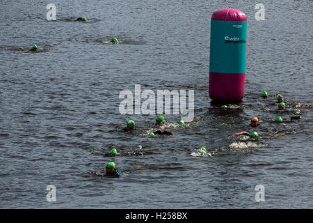 London, UK. 24 September 2016. Thousands of swimmers, most of them in wetsuits, take part in the first ever Swim Serpentine event in London's Hyde Park. Swimmers set off in waves of 350 and covered a distance of 1 mile. Credit:  Bettina Strenske/Alamy Live News Stock Photo