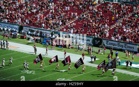 Tampa, Florida, USA. 24th Sep, 2016. CHRIS URSO | Times.Florida State Seminoles take the field just prior to their game against the South Florida Bulls Saturday, Sept. 24, 2016 in Tampa. © Chris Urso/Tampa Bay Times/ZUMA Wire/Alamy Live News Stock Photo
