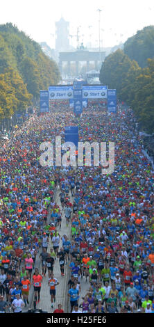 Berlin, Germany. 25th Sep, 2016. Participants of the 43rd Berlin Marathon running along Strasse des 17. Juni in Berlin, Germany, 25 September 2016. PHOTO: PAUL ZINKEN/dpa/Alamy Live News Stock Photo