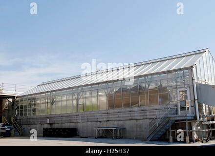 St. Louis, Us. 23rd Sep, 2016. A view of the greenhouses used to grow and research plants at the headquarters of the Monsanto Company, in St. Louis, Missouri on September 23, 2016. Photo: Daniel Dreifuss/dpa/Alamy Live News Stock Photo