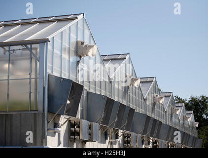 St. Louis, Us. 23rd Sep, 2016. A view of the greenhouses used to grow and research plants at the headquarters of the Monsanto Company, in St. Louis, Missouri on September 23, 2016. Photo: Daniel Dreifuss/dpa/Alamy Live News Stock Photo