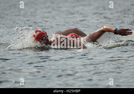 Swim Serpentine. As part of the weekend event the British Open Water Swimming Championships took place Stock Photo