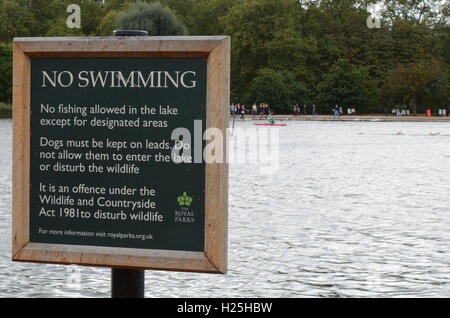 Swim Serpentine. As part of the weekend event the British Open Water Swimming Championships took place Stock Photo