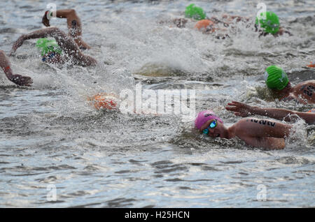 Swim Serpentine. As part of the weekend event the British Open Water Swimming Championships took place Stock Photo