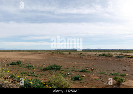 Empty Landcape with space with blue clouds in Tankwa Karoo Stock Photo