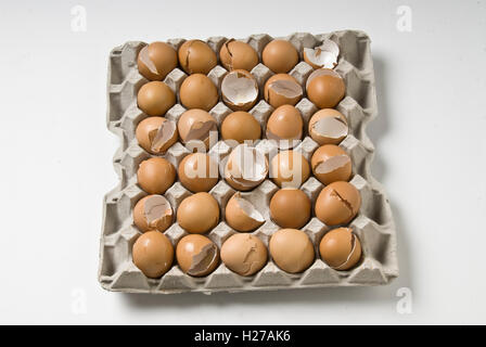 A tray of thirty empty broken brown chicken eggshells Stock Photo
