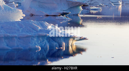 Icebergs on Sermilik Fjord near settlement of Tiniteqilaq, East Greenland Stock Photo