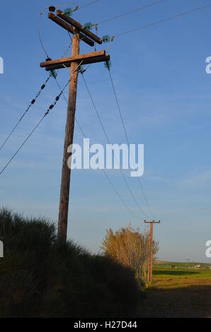 A random and somewhat generic photo. Old photo. Stock Photo
