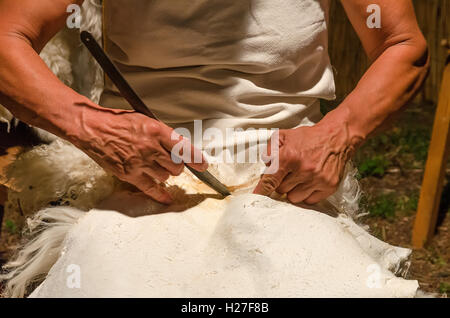 tanner at work inside the laboratory in italy Stock Photo