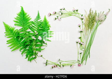 Wreath of daisy and green fern on white background. Flat lay. Stock Photo