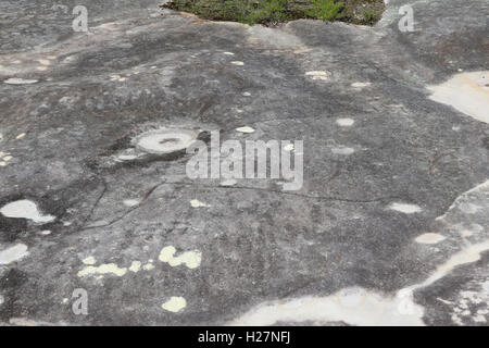 Jibbon Aboriginal Rock Engravings, Royal National Park Stock Photo - Alamy