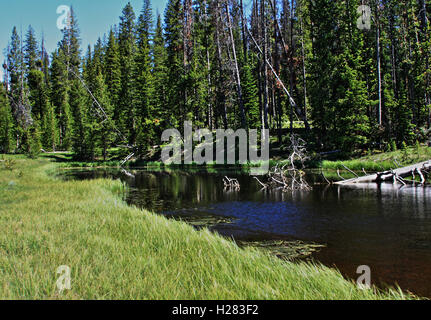 Wind River Lake and creek, on Togwotee Pass in the Absaroka mountain range in Wyoming USA Stock Photo