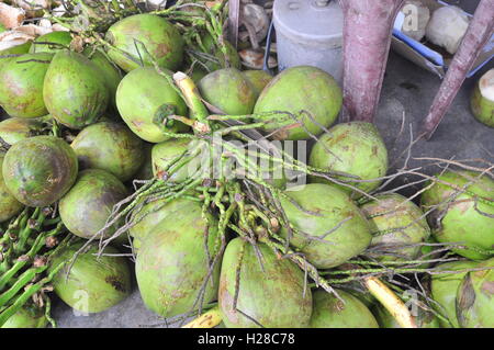 Nha Trang, Vietnam - February 7, 2016: Coconuts for sale to travellers on a treet vendor in Vietnam Stock Photo