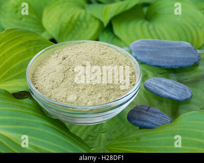 Henna powder in the glass bowl on the green leaves background and three gray stones Stock Photo