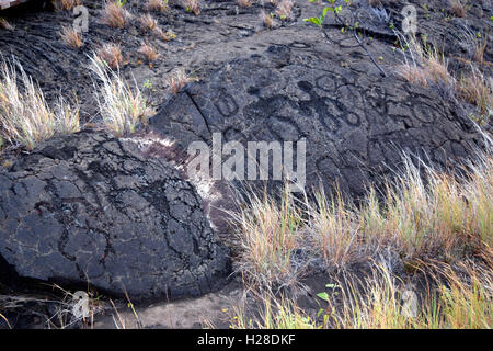 Puu Loa Petroglyphs on Chain of Craters Road in Hawaii Volcanoes National Park Stock Photo