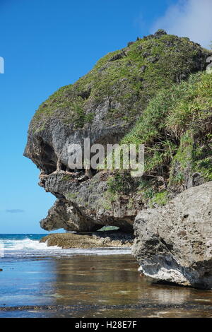 Eroded limestone cliff that looks like a monster head on the coast of Rurutu island, Pacific ocean, Austral, French Polynesia Stock Photo