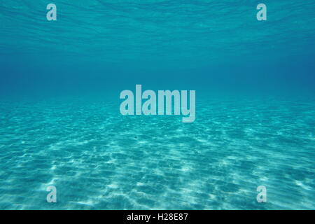 Natural underwater scene, shallow sandy seabed below water surface, Pacific ocean, lagoon of Tikehau, Tuamotu, French Polynesia Stock Photo