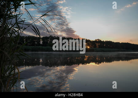 Sunrise in the river with reflex. Mirrored forest line on the river. Fantastic foggy river with fresh green grass in the sunny b Stock Photo