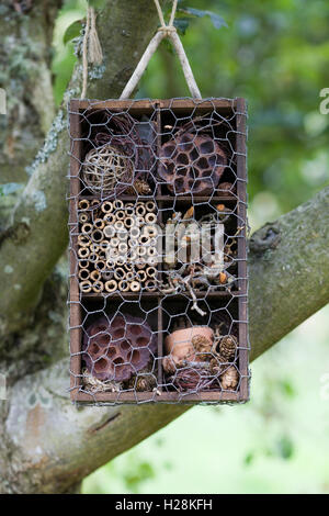 Wooden bug houses hanging on a wall Stock Photo - Alamy
