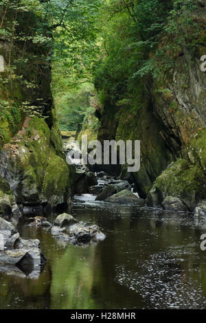 River Conway flowing through a gorge known as the Fairy Glen in North Wales near betws y coed Stock Photo