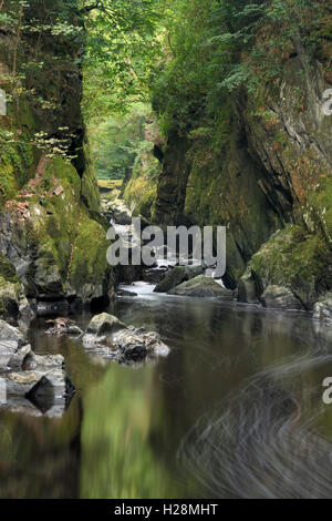 River Conway flowing through a gorge known as the Fairy Glen in North Wales near betws y coed Stock Photo