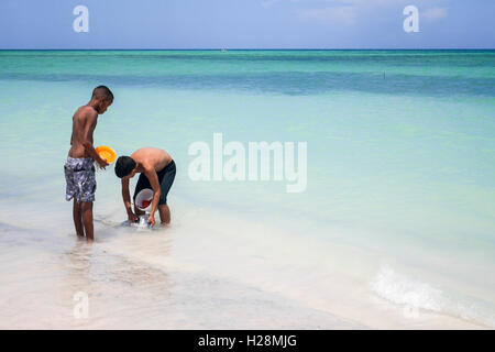 Young boys in the water Stock Photo