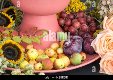 Floral autumn art. Fruit and flowers display. Harrogate autumn flower show. Harrogate  North Yorkshire, England Stock Photo